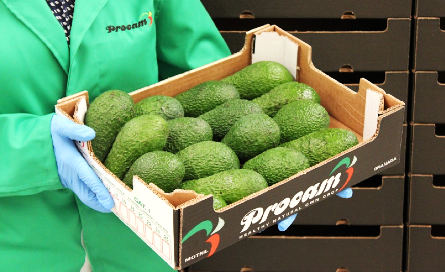 caja-de-aguacates